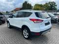 Ford Kuga Sync Edition Weiß - thumbnail 6