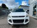 Ford Kuga Sync Edition Weiß - thumbnail 2