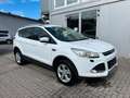 Ford Kuga Sync Edition Weiß - thumbnail 3