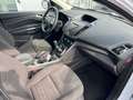 Ford Kuga Sync Edition Weiß - thumbnail 13