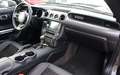 Ford Mustang Shelby 2.3 EcoBoost/NAV/BIXENON/SHZ/RCAM Grigio - thumbnail 14