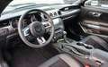 Ford Mustang Shelby 2.3 EcoBoost/NAV/BIXENON/SHZ/RCAM Gris - thumbnail 7