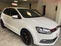 Volkswagen Polo GTI Polo V 2009 5p 1.4 tsi 180cv dsg Weiß - thumbnail 2