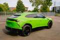 Lamborghini Urus 4.0 V8 Verde - thumbnail 5