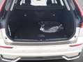 Volvo XC60 T8 Ultra Dark*Plug-In*Bowers*AHK*360°K'* Grau - thumbnail 8