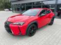 Lexus UX 250h Style & Edition - ACC-Totwinkel-DAB Rot - thumbnail 6
