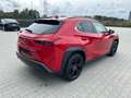 Lexus UX 250h Style & Edition - ACC-Totwinkel-DAB Rot - thumbnail 3