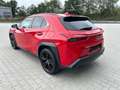 Lexus UX 250h Style & Edition - ACC-Totwinkel-DAB Rot - thumbnail 4