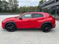 Lexus UX 250h Style & Edition - ACC-Totwinkel-DAB Rot - thumbnail 5