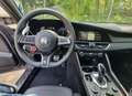 Alfa Romeo Giulia Giulia 2.9 V6 Bi-Turbo AT8 Quadrifoglio Grau - thumbnail 12