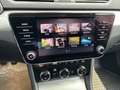 Skoda Superb Ambition TDI Grau - thumbnail 14