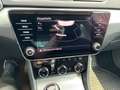 Skoda Superb Ambition TDI Grau - thumbnail 18