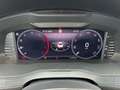 Skoda Superb Ambition TDI Grau - thumbnail 12