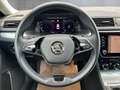 Skoda Superb Ambition TDI Grau - thumbnail 10