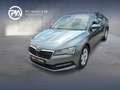 Skoda Superb Ambition TDI Grau - thumbnail 1