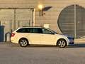Skoda Octavia 1,6 TDi Ambition / Automatik DSG / 145.000km Weiß - thumbnail 1