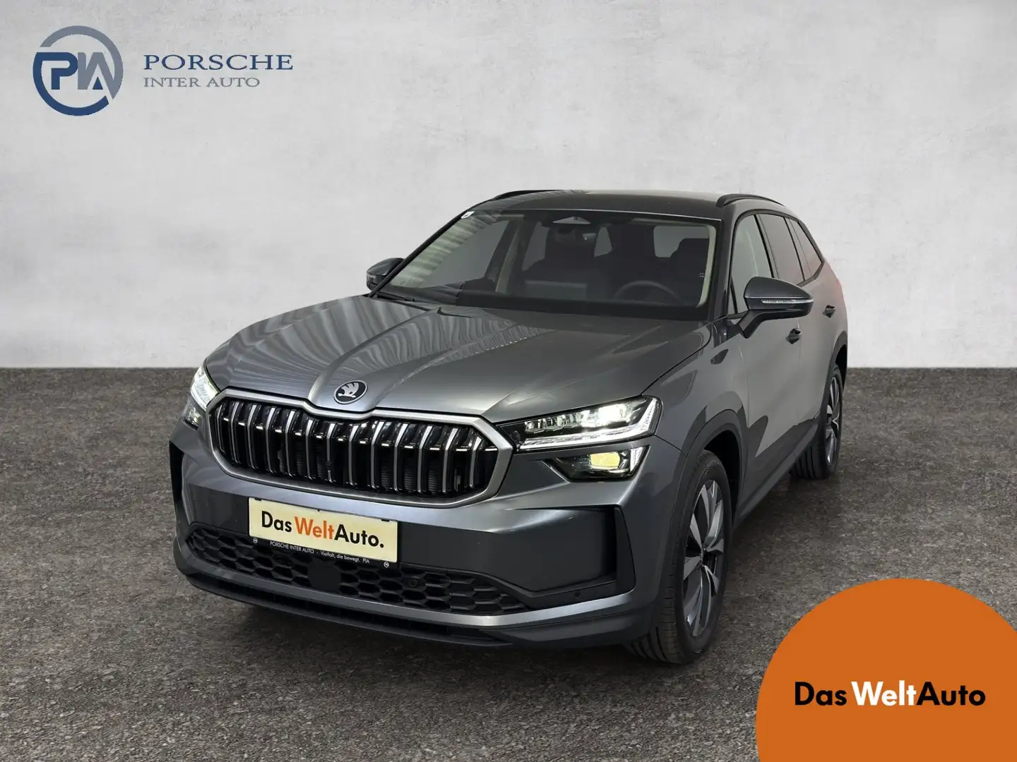 Skoda Kodiaq 4x4 Selection TDI DSG Grau - 1