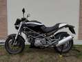 Ducati Monster 600 Dark - thumbnail 1