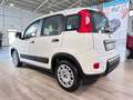 Fiat Panda N1 1.0 Hybrid Street Van 4 posti Weiß - thumbnail 5