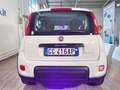 Fiat Panda N1 1.0 Hybrid Street Van 4 posti Weiß - thumbnail 6