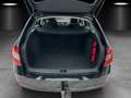 Skoda Octavia 1.6 TDI Ambition/LED/SHZ/PDC/GRA/ Schwarz - thumbnail 12