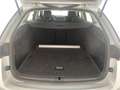 Skoda Octavia 4x4 Ambition TDI DSG Silber - thumbnail 7