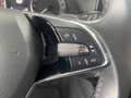 Skoda Octavia 4x4 Ambition TDI DSG Silber - thumbnail 15