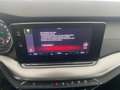 Skoda Octavia 4x4 Ambition TDI DSG Silber - thumbnail 19