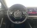 Skoda Octavia 4x4 Ambition TDI DSG Silber - thumbnail 12
