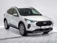 Ford Kuga Titanium FHEV AWD Weiß - thumbnail 2