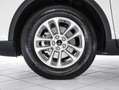 Ford Kuga Titanium FHEV AWD Weiß - thumbnail 7