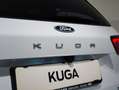 Ford Kuga Titanium FHEV AWD Weiß - thumbnail 9