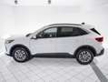 Ford Kuga Titanium FHEV AWD Weiß - thumbnail 6