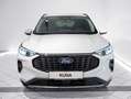Ford Kuga Titanium FHEV AWD Weiß - thumbnail 4