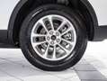 Ford Kuga Titanium FHEV AWD Weiß - thumbnail 8