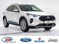 Ford Kuga Titanium FHEV AWD Weiß - thumbnail 1