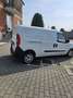 Fiat Doblò Cargo maxi 1.6 mjt 120cv LH1 Lounge S&S Blanc - thumbnail 4