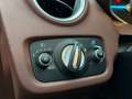 Ford Fiesta 1.0 EcoBoost Titanium | Clima | Cruise | PDC | LMV Bruin - thumbnail 19