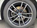 BMW 530 d Tour M-Sport LCProf DA Kamera CarPlay DAB Weiß - thumbnail 6
