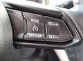 Mazda 2 Lim. Sondermodell "Red Sports Edition"Scheckheft*E Blanc - thumbnail 16