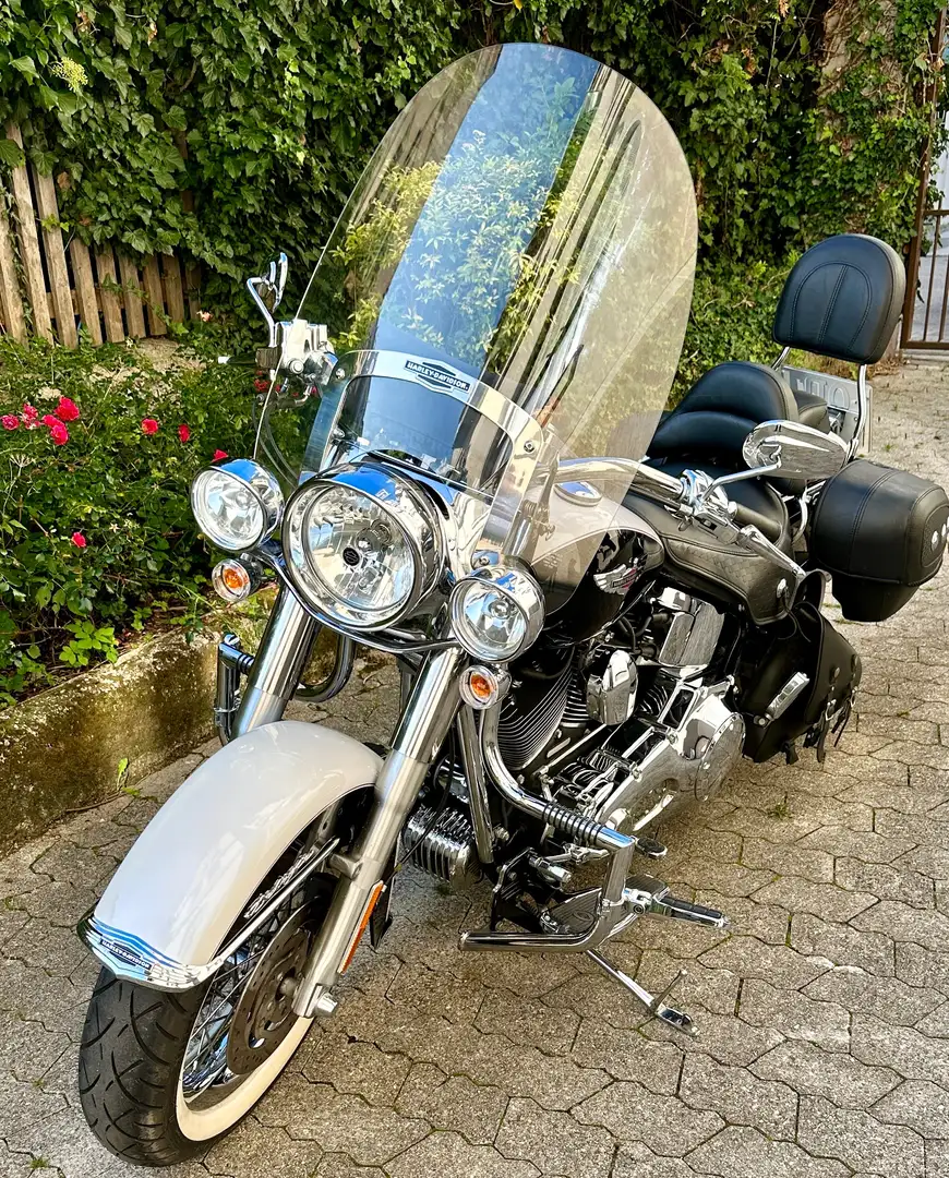 Harley-Davidson Softail Deluxe FLSTN - sehr gepflegt, wenig km Biały - 2