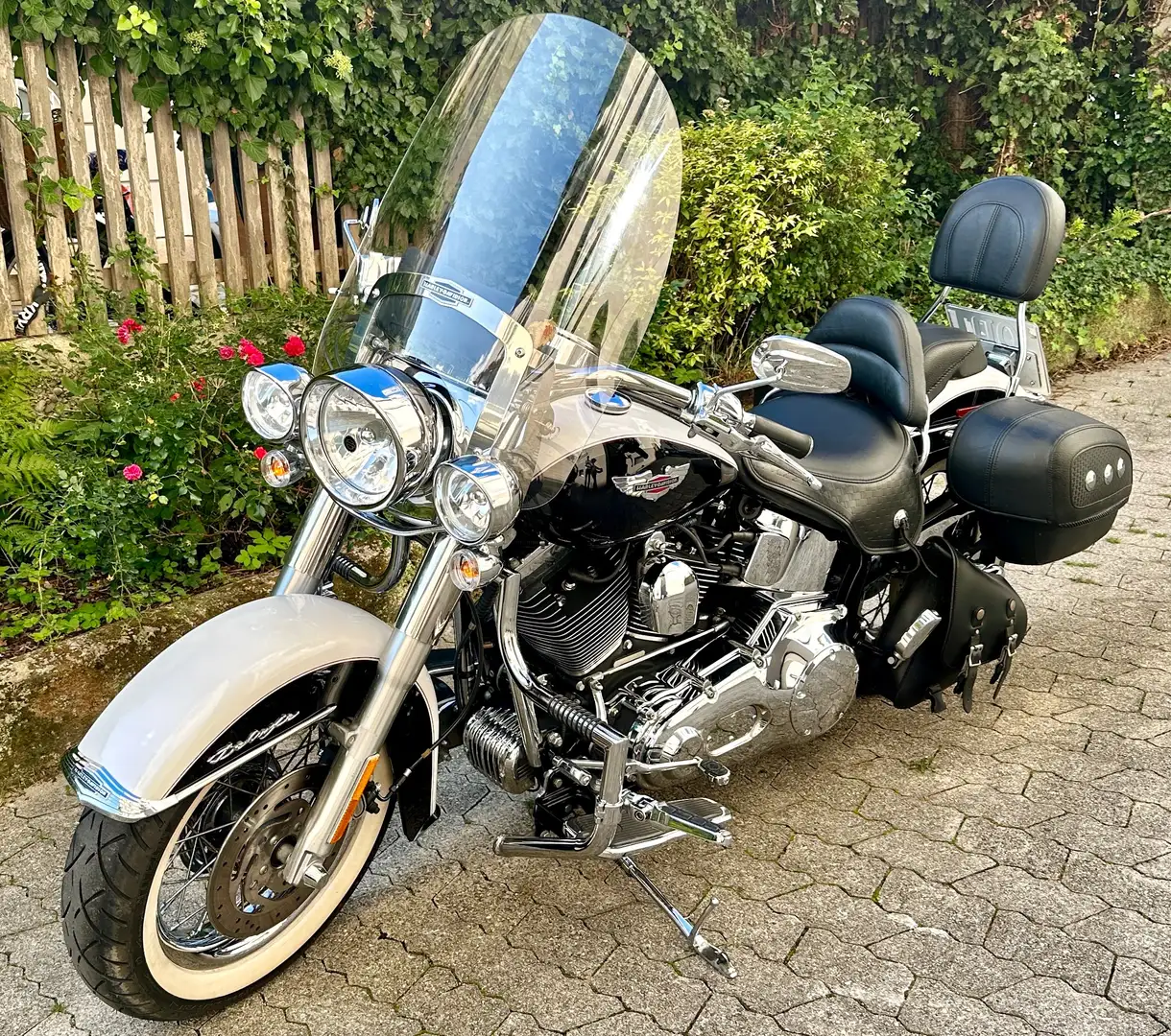Harley-Davidson Softail Deluxe FLSTN - sehr gepflegt, wenig km Weiß - 1