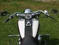 Harley-Davidson Softail Deluxe FLSTN - sehr gepflegt, wenig km Biały - thumbnail 46