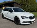 Skoda Superb Superb Kombi 2,0 TDI 4x4 Sportline - AHK, Allrad, Pickerl 06/27, Panorama Komb Weiß - thumbnail 1