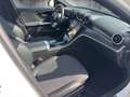 Mercedes-Benz C 220 d | Pano | AHK | 360 | 8 Fach Bereift | Weiß - thumbnail 15