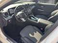 Mercedes-Benz C 220 d | Pano | AHK | 360 | 8 Fach Bereift | Weiß - thumbnail 11