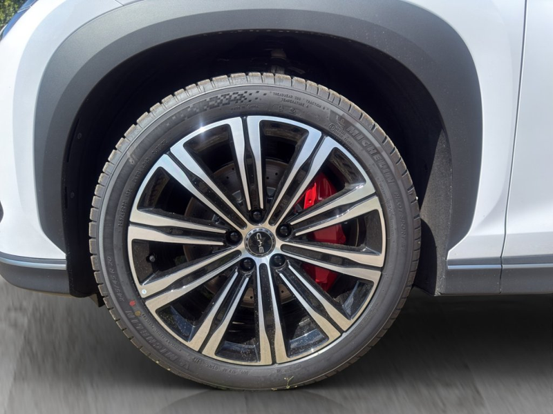 BYD Sealion 7 Excellence AWD — photo 6