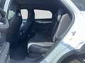 BYD Sealion 7 Excellence AWD Weiß - thumbnail 15