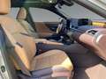 Lexus ES 300 300h Luxury - thumbnail 6
