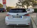 Lexus CT 200h 200h Hybrid Luxury PELLE,NAVI-GARANZIA KM CERTIFIC Bianco - thumbnail 5